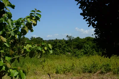 DSC_8365 (Large).JPG